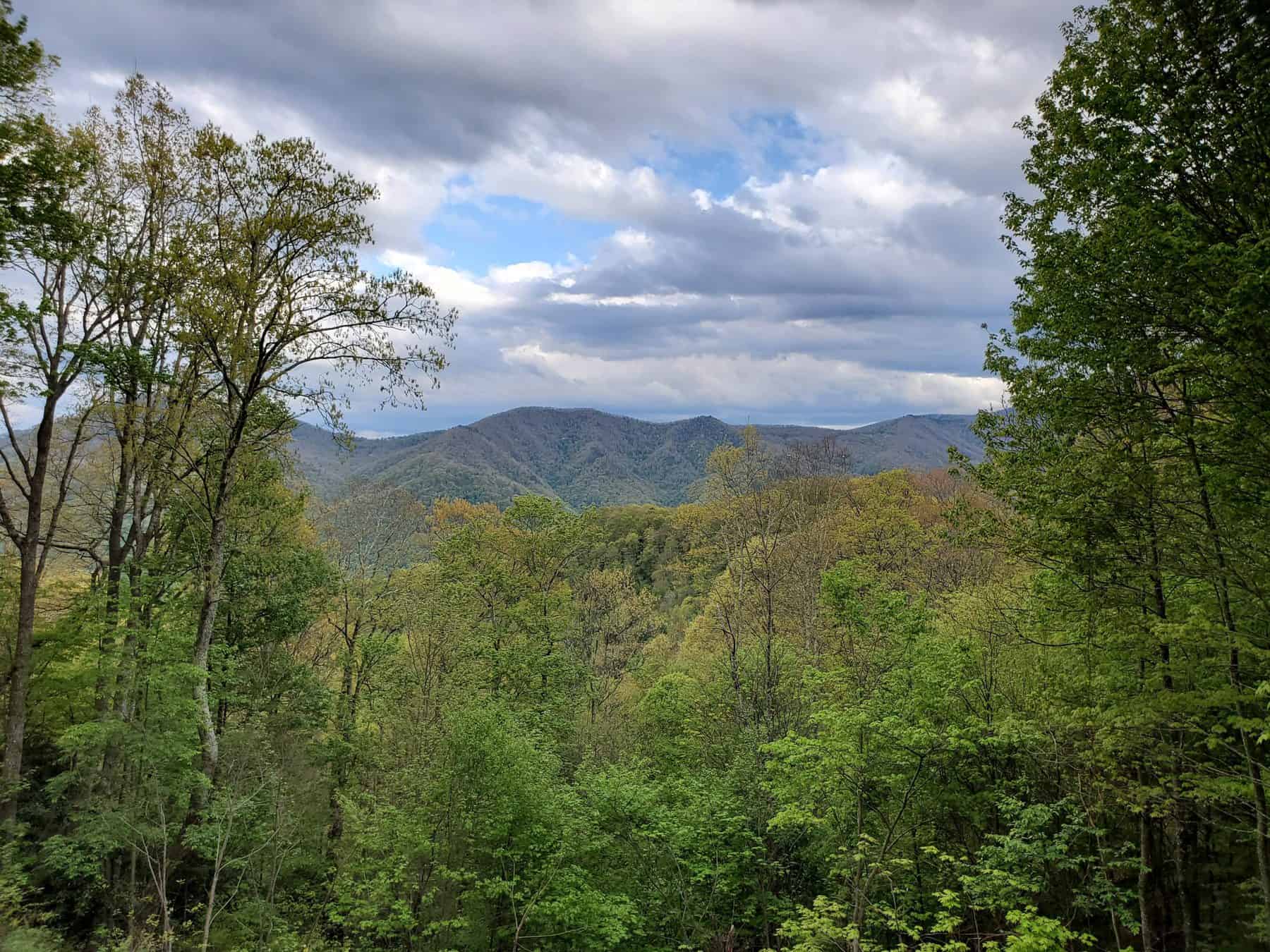 Maggie Mountain Vacations – Cabin Rentals in Maggie Valley