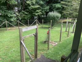 Fenced-in-Back-Yard-with-Gate