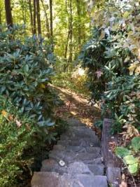 391-A Liberty Rd, Front Steps to Porch (2)