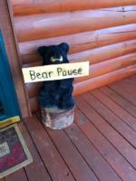 Bear Pause Cabin, Welcome Bear