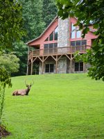Visitor-at-Chalet