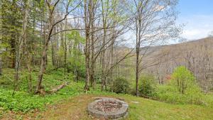Firepit
