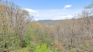 View-from-Firepit