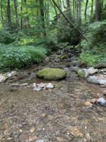 Creek Crossing Retreat-groundsandcreek (7)