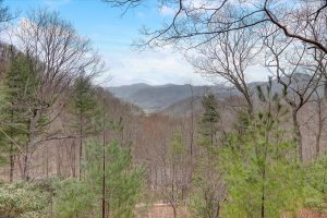 Second-View-from-Treetop-Vista