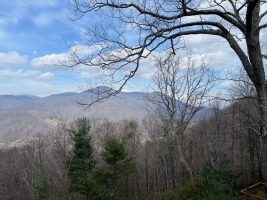 View-from-Scenic-Serenity