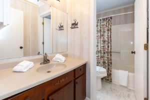 Downstairs-Full-Bath