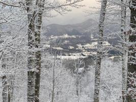 The Vista Winter View(1)