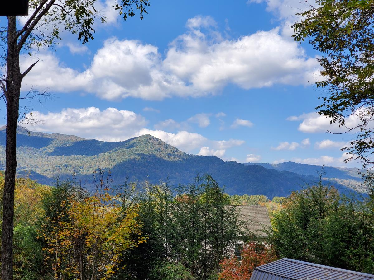 Wakulla Woods Retreat Maggie Mountain Vacations